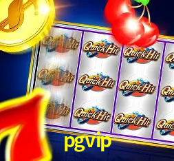 Interface Premium pgvip