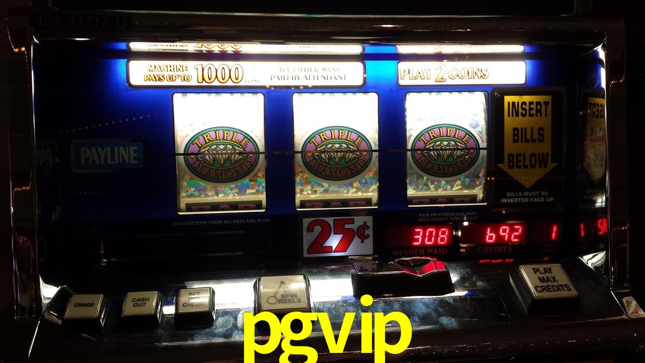 VIP Casino pgvip